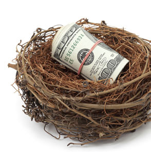 photo-money-nest